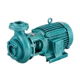 CRI Pumps Surface Pumps | PumpsCart