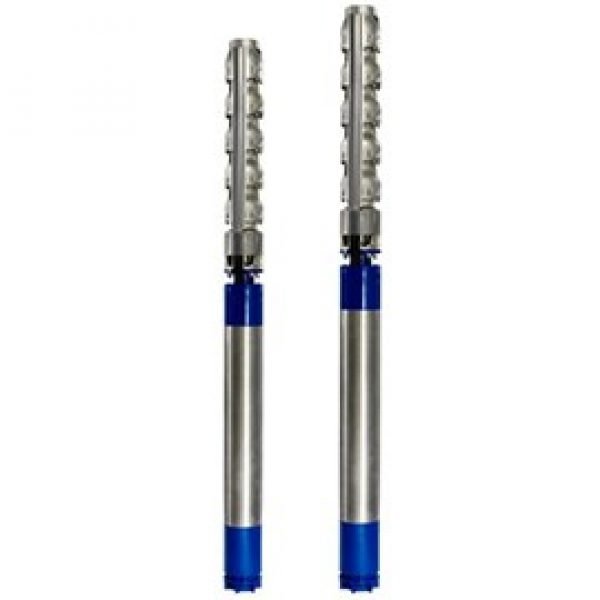 Xylem Submersible Borehole Pumps