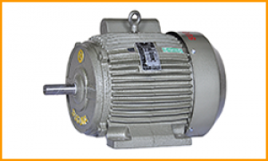 Suguna Pumps Electric Motor