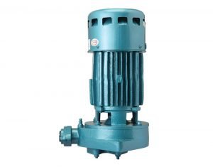 Usha Pumps Deep Well Jet